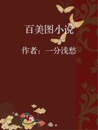小说《百美图小说》封面图片