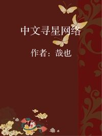 小说《中文寻星网络》封面图片