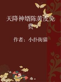 小说《天降神婿陈黄皮免费》封面图片