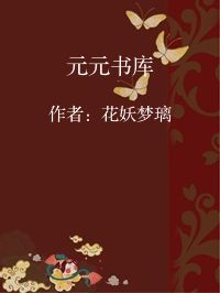 小说《元元书库》封面图片