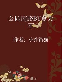 小说《公园南路BY夏大雨》封面图片