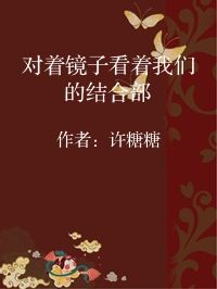 小说《对着镜子看着我们的结合部》封面图片