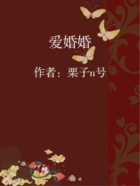小说《爱婚婚》封面图片