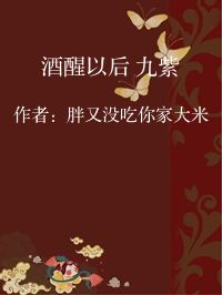 小说《酒醒以后 九紫》封面图片