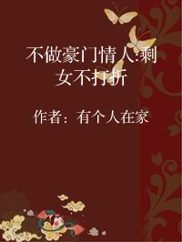 小说《不做豪门情人:剩女不打折》封面图片