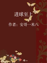小说《进球至上》封面图片