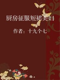 小说《厨房征服短裙美妇》封面图片