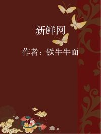 小说《新鲜网》封面图片
