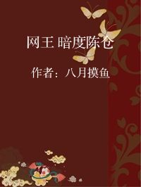 小说《网王 暗度陈仓》封面图片