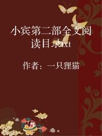 小说《小宾第二部全文阅读目录txt》封面图片