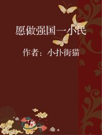 小说《愿做强国一小民》封面图片