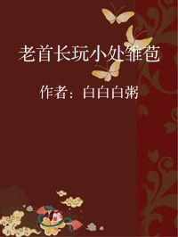 小说《老首长玩小处雏苞》封面图片