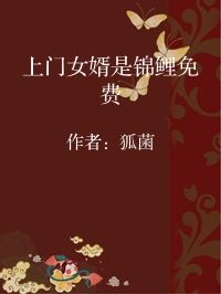小说《上门女婿是锦鲤免费》封面图片