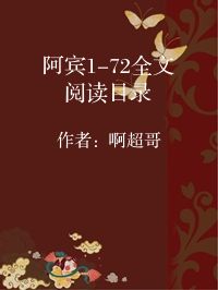 小说《阿宾1-72全文阅读目录》封面图片