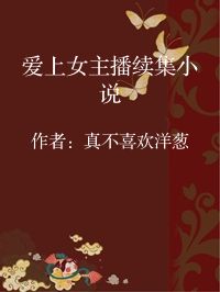 小说《爱上女主播续集小说》封面图片