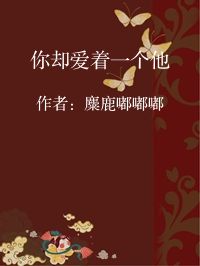 小说《你却爱着一个他》封面图片