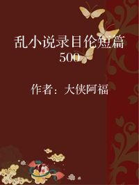 小说《乱小说录目伦短篇500》封面图片