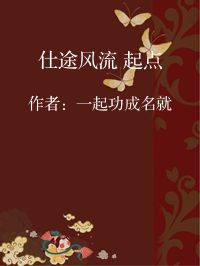 小说《仕途风流 起点》封面图片