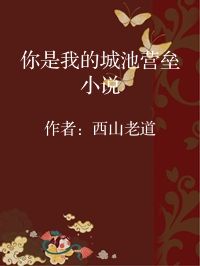 小说《你是我的城池营垒小说》封面图片