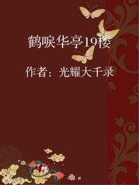 小说《鹤唳华亭19楼》封面图片