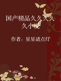 小说《国产精品久久久久久小说》封面图片