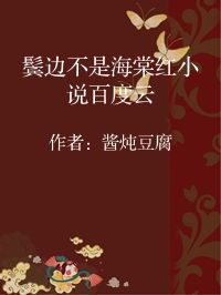 小说《鬓边不是海棠红小说百度云》封面图片