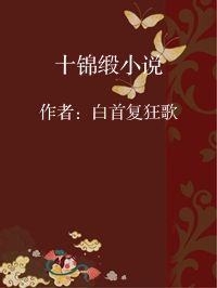小说《十锦缎小说》封面图片