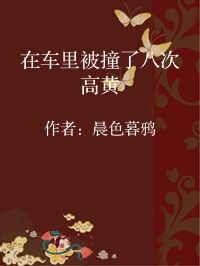 小说《在车里被撞了八次高黄》封面图片