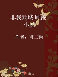 小说《非我倾城 顾漫 小说》封面图片