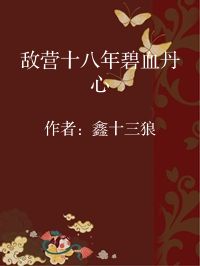 小说《敌营十八年碧血丹心》封面图片