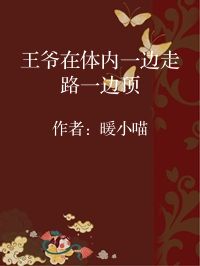 小说《王爷在体内一边走路一边顶》封面图片