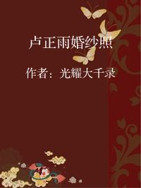 小说《卢正雨婚纱照》封面图片