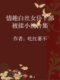 小说《情趣白丝女仆下部被揉小说合集》封面图片
