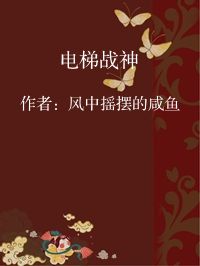 小说《电梯战神》封面图片