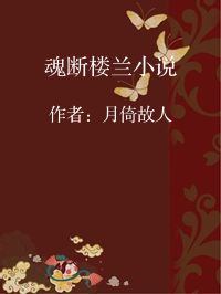 小说《魂断楼兰小说》封面图片