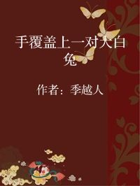 小说《手覆盖上一对大白兔》封面图片