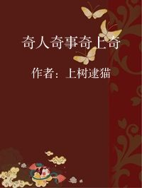 小说《奇人奇事奇上奇》封面图片