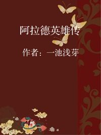 小说《阿拉德英雄传》封面图片