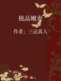 小说《极品嫩妻》封面图片