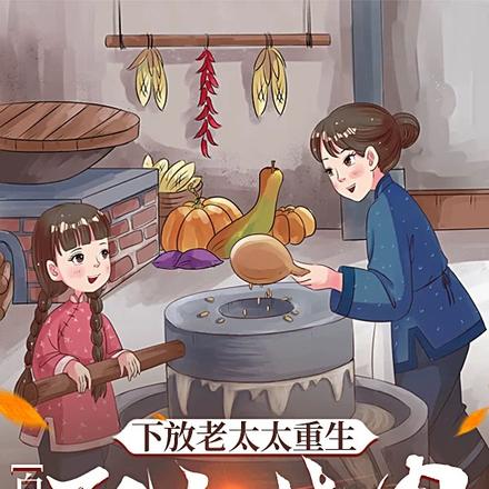 小说《下放老太太重生：白米饭配红烧肉》封面