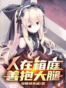 小说《人在箱庭，从落地成神开始》封面