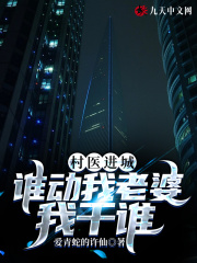 小说《村医进城：谁动我老婆我干谁》封面