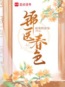 小说《锦医春色》封面