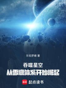 小说《吞噬星空：从雪鹰体系开始崛起》封面