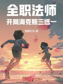 小说《全职法师：开局海克斯三选一》封面