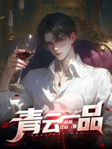 小说《青云一品》封面