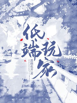 小说《低端玩家》封面