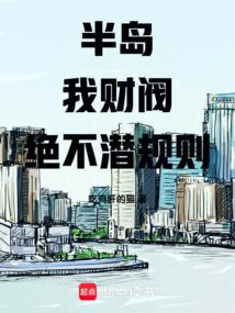 小说《半岛：我，财阀！绝不潜规则》封面