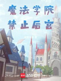 小说《星痕纹章》封面