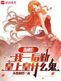 小说《海贼：从副船长到死灵君主》封面